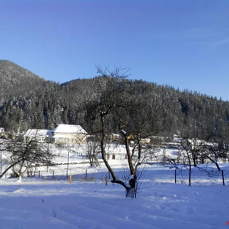 Gorytsvit *