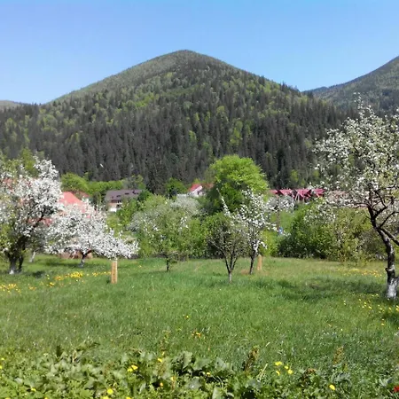 Gorytsvit * Tatariv